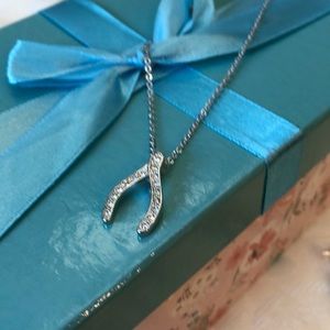 Austrian Crystal Wishbone New Necklace, Lia sophia